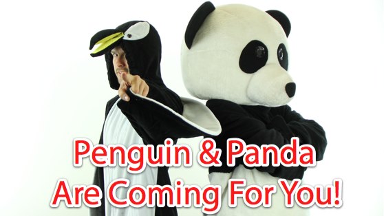 google penguin recovery