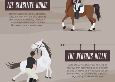 Melbourneseoservices.com Infographics Horse Personality