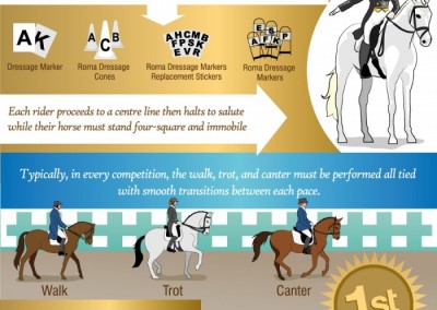 Melbourneseoservices.com Infographics - Dressage: Facts for Equestrian Lovers