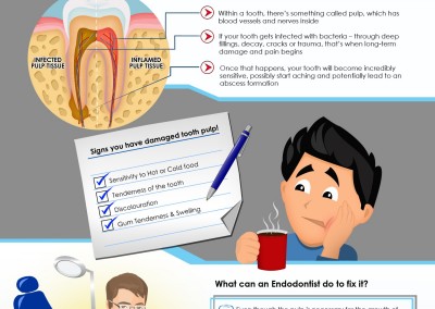 Melbourneseoservices.com Infographics - What in the World is Endodontics?