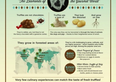 Melbourneseoservices.com Infographics - What You Need To Know About Truffles