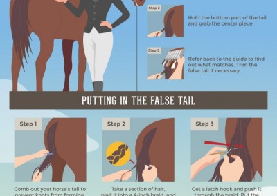 Melbourneseoservices.com Infographics - Horse Grooming Tips - A Step-by-Step Guide to Adding False Tails