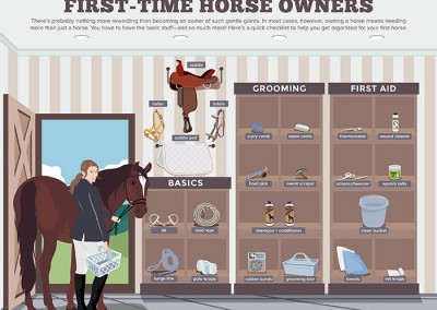 Melbourneseoservices.com Infographics - First Time Horse Owners